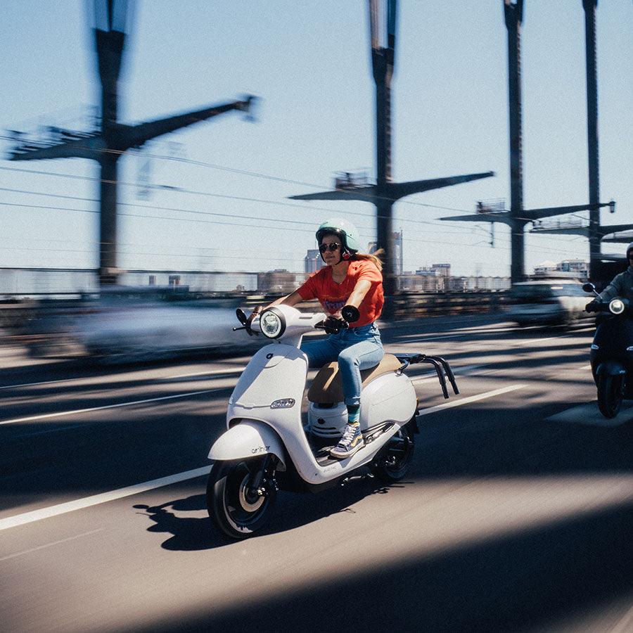 Arthur Surf Kit – FONZ SHOP