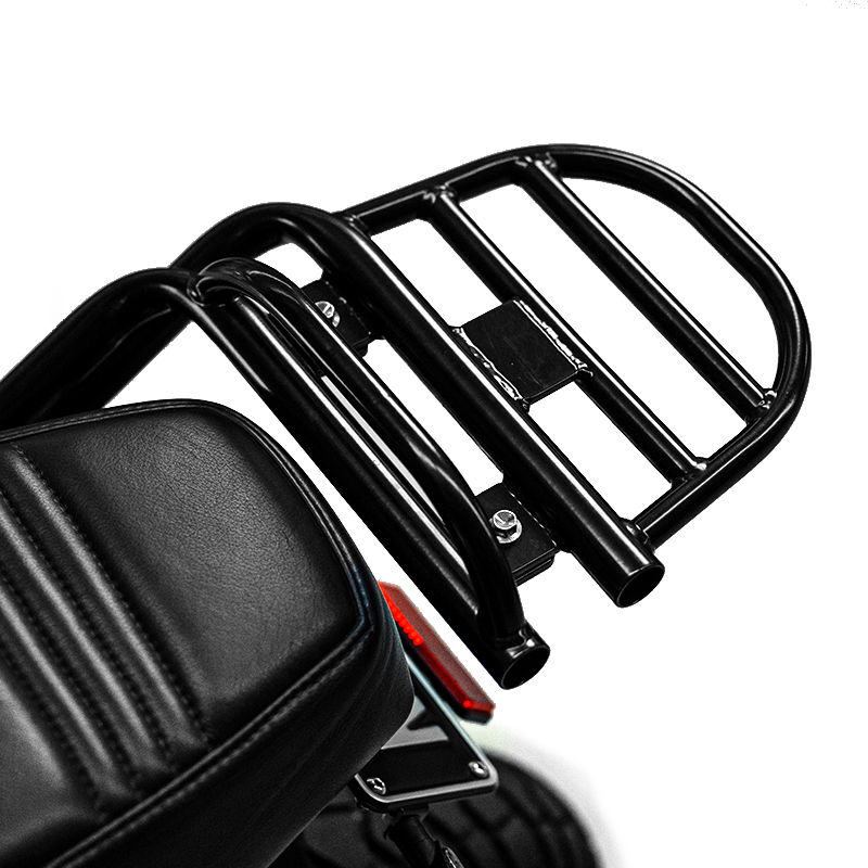 FONZ NKD integrated rear carrier, close-up